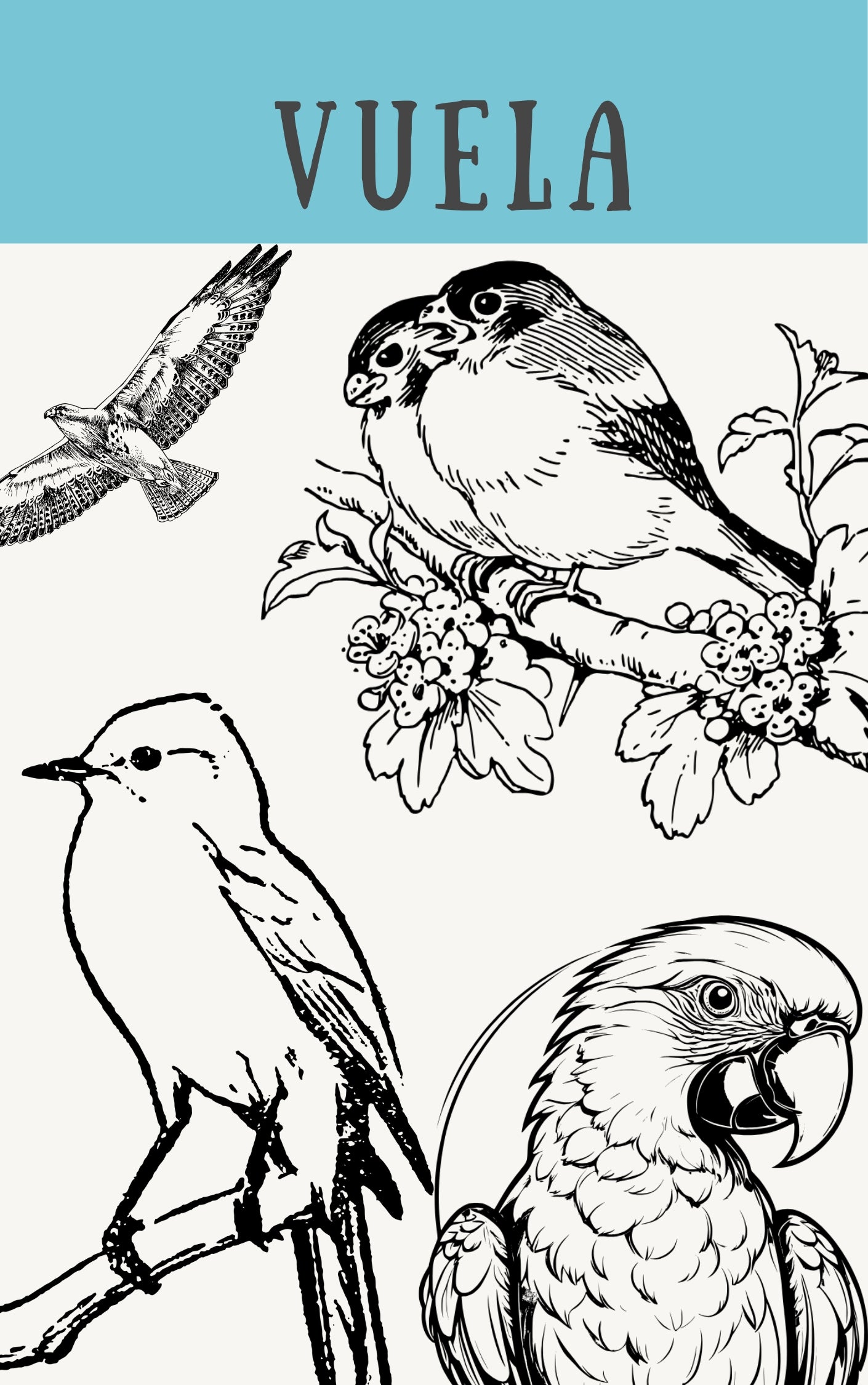 Libro para colorear "Calma" para adultos